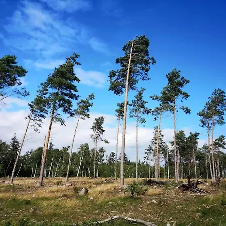 Σπίτι διακοπών 6 Person In Vaeggerlose-by Traum *