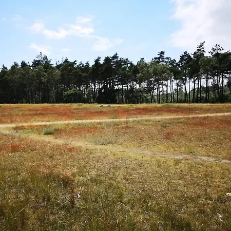 6 Person In Vaeggerlose-by Traum