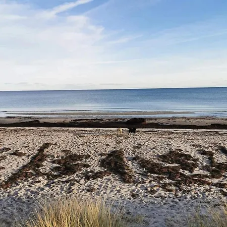 Σπίτι διακοπών 6 Person In Vaeggerlose-by Traum