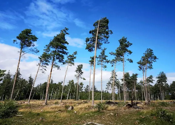 Дом отдыха 6 Person In Vaeggerlose-by Traum *